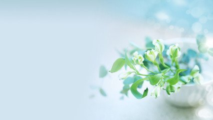 剪板机价格变动受哪些因素影响